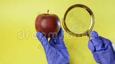 科学家研究一个大红苹果<strong>基因工程</strong>食品概念